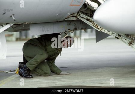 Ein Bodenteam führt Wartungsarbeiten an einem F-15 Kampfflugzeug der 429. Taktischen Kampfflugeinheit, Nellis Air Force Base, Nevada, während des Trainings Coronet Wrangler durch. Betrifft Betrieb/Serie: CORONET WRANGLER Base: RAF Bentwaters Land: England / Großbritannien (eng) Stockfoto