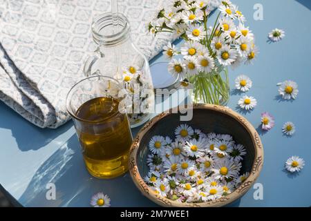 Gänseblümchen-Öl, Gänseblümchenöl, Blüten vom Gänseblümchen werden in Öl eingelegt, ausgezogen, Auszug aus Gänseblümchen-Blüten, Ölauszug, Heilöl, Aus Stockfoto