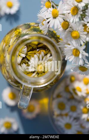 Gänseblümchen-Öl, Gänseblümchenöl, Blüten vom Gänseblümchen werden in Öl eingelegt, ausgezogen, Auszug aus Gänseblümchen-Blüten, Ölauszug, Heilöl, Aus Stockfoto