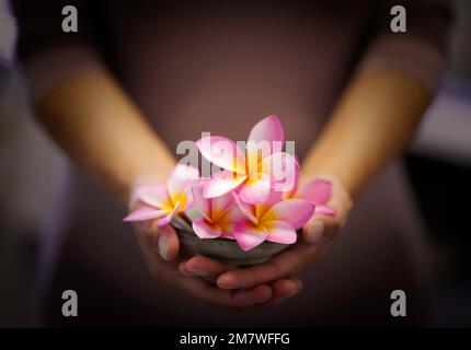 Eine junge Frau, die im Garten einen rosa Frangipani hält. Stockfoto