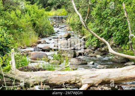 In einem Bereich des Drakensbergs, Südafrika, auf einen kleinen Fluss oder Bach zu blicken, während das Wasser über eine Steinattika fällt und über Felsen stürzt Stockfoto