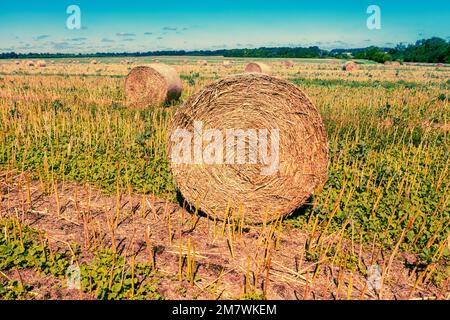 Ländliche Landschaft am Abend. Feld nach der Ernte mit Strohballen Stockfoto