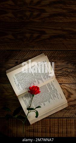 Altes Buch, auf Französisch, offen und mit einer roten Rose auf einer alten Holzplatte. Neuartige Romantik-Buchhülle. Stockfoto