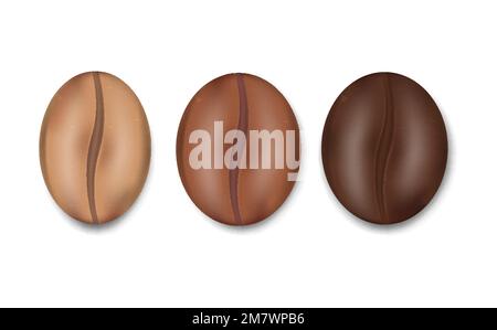 Set von Kaffeebohnen realistisch isoliert auf weißem Hintergrund. Vektordarstellung. Eps 10. Stock Vektor