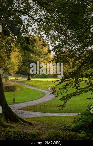 parkszene, mit Blick auf den Weg mit Rasen auf beiden Seiten, eingerahmt zwischen Baumstämmen, Sommersonne, Spätabendspaziergang für Paare Stockfoto