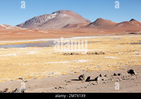 5.000 Meter hoch in den chilenischen Anden Stockfoto