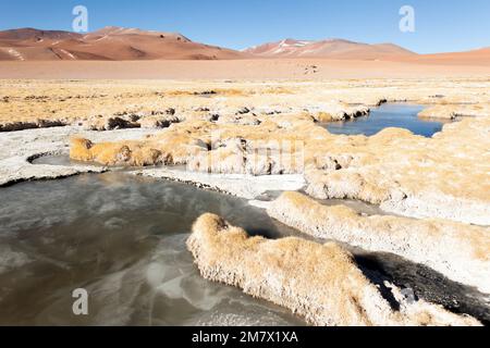 5.000 Meter hoch in den chilenischen Anden Stockfoto