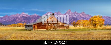 Vor Sunrise Moulton Barn, Mormon Row, Historic District im Herbst, Herbstlaub mit Grand Teton Mountain Range im Hintergrund Grand Teton Nation Stockfoto