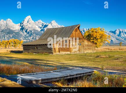 Am frühen Morgen, Moulton Barn, Mormon Row, historisches Viertel im Herbst, Herbstlaub mit Grand Teton Mountain Range im Hintergrund Grand Teton Nationa Stockfoto