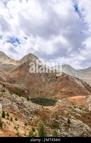 Der Loie-See im Parco Nazionale Gran Paradiso ist umgeben von Felsen mit im Herbst verwelktem gelbem Gras und Zwergkiefern unter weißen Wolken Stockfoto