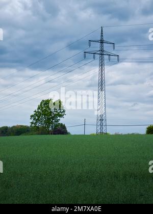 Ein einzelner großer Pol steht in der Natur Stockfoto