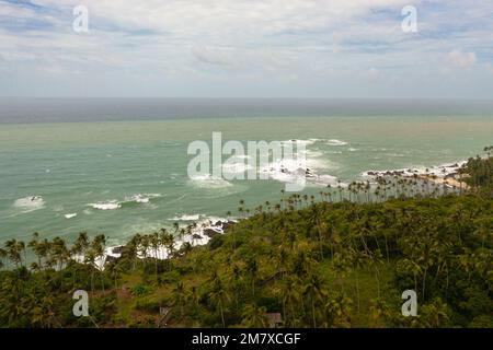 Blick von oben auf Palmen an der felsigen Küste und das Meer mit großen Wellen. Secret Beach Mirissa, Sri Lanka. Stockfoto