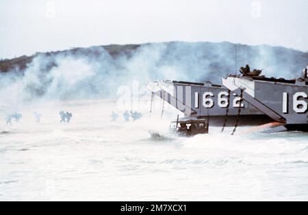 Marines und Ausrüstung werden von Utility Landing Craft (LCU-1662 und 1663) entladen, während sie sich während der Operation Ocean Venture '82 dem Strand nähern. Betrifft Operation/Serie: OCEAN VENTURE '82 Bundesstaat: Puerto Rico (PR) Land: Vereinigte Staaten von Amerika (USA) Stockfoto