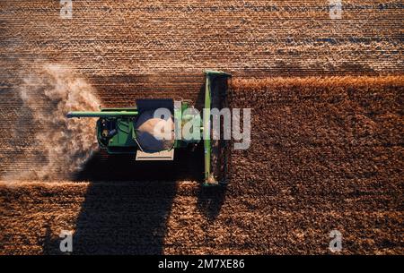 John Deere Erntemaschine arbeitet auf dem Feld. Mähdrescher Weizenernte, Draufsicht auf ein Weizenfeld. Getreidefeld während der Ernte. 07.07.22 Stockfoto