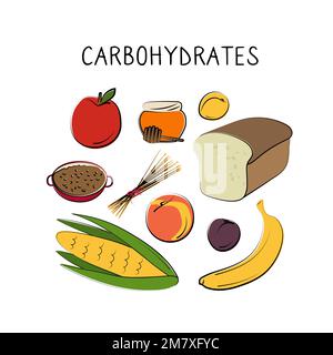 Kohlenhydrathaltige Lebensmittel. Gruppen von gesunden Produkten, die Vitamine und Mineralien enthalten. Obst, Gemüse, Fleisch, Fisch und Milchprodukte Stock Vektor