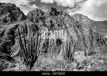 Mexiko, Chihuahua, Sierra Madre Occidenta, Creel, Copper Canyon, Stockfoto