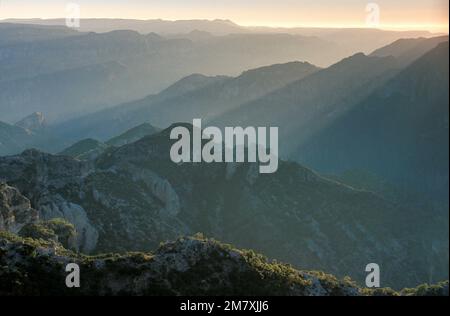 Mexiko, Chihuahua, Sierra Madre Occidenta, Copper Canyon, Stockfoto