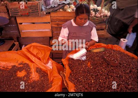 Mexiko, Oaxaca, Oaxaca City, Centro Historico, Markt, Verkäufer mit gerösteten Heuschrecken, Kapulinen Stockfoto