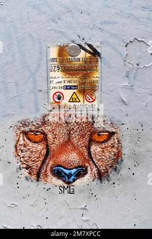 Street Art in Paris - Frankreich Stockfoto