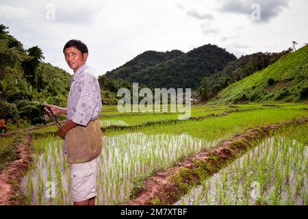 Luang Nam Tha, Laos, 19. Juli 2009. In einem Dorf des ethnischen Khamu im Norden Laos, eine Reisbauerin, die ihren Arbeitsplatz zeigt Stockfoto