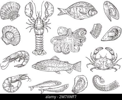Handgezeichnete Meeresfrüchte. Handgezeichnete Krabben, Garnelen und Kraken. Jakobsmuscheln, Schalentiere und Lachs-Vektorbildungs-Set Stock Vektor