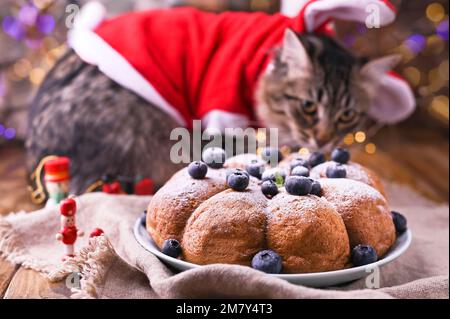Weihnachtskatze. Wunderschönes flauschiges Haustier in einem weihnachtsmann-Hut. Backen unter den Paprika mit Bokeh und Weihnachtssüßen. Hochwertiges Foto . Stockfoto