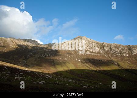 Die Ziege, die das Abendlicht einfängte, fiel von Glen Rosa aus, der Insel Arran Ayrshire, Schottland Stockfoto