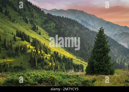 Almaty-Berglandschaft im Bergkamm Alatau, Kasachstan - Natur zentralasiens, Kimasar-Schlucht Stockfoto