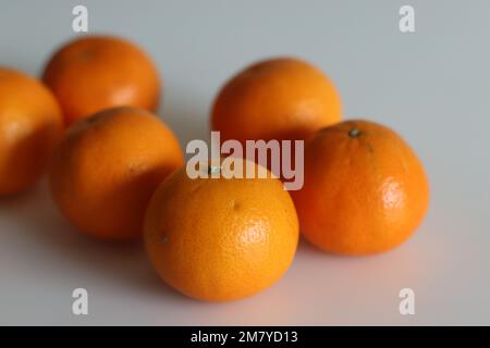 Malta oder Valencia Orange ist eine in Indien angebaute Zitrusfrucht, die gemeinhin als Sangtra bezeichnet wird. Es handelt sich um eine große orangefarbene Sorte mit einer glatten und kieseligen Oberfläche Stockfoto