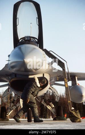 Ein Bodenteam führt während der Übung Brim Frost '83 Vorflugwartungen an einem F-16 Kampfflugzeug durch, das dem taktischen Kampfflugflügel 388. zugewiesen ist. Betreff Betrieb/Serie: Brim Frost '83 Stützpunkt: Luftwaffenstützpunkt Eielson Bundesstaat: Alaska (AK) Land: Vereinigte Staaten von Amerika (USA) Stockfoto