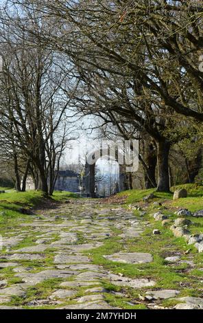 Carsulae (Italien) - eine archäologische römische Stätte in der Region Umbrien, Mittelitalien, neben San Gemini, einer kleinen mittelalterlichen Stadt in der Provinz Terni Stockfoto