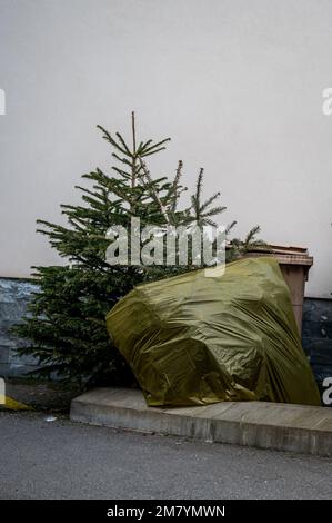 Verlassene Weihnachtsbäume auf der Straße neben dem Müll nach den Feiertagen. Ökologie und Abfallkonzept. Stockfoto