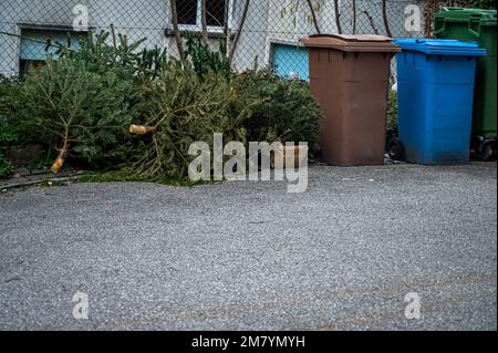 Verlassene Weihnachtsbäume auf der Straße neben dem Müll nach den Feiertagen. Ökologie und Abfallkonzept. Stockfoto