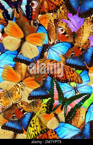 Abstrakter Hintergrund von vielen bunten Schmetterlingen füllen den Rahmen Stockfoto
