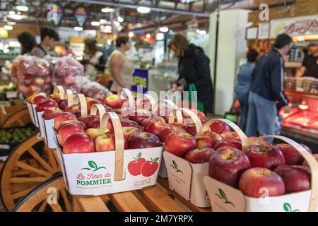 Verkauf von Äpfeln, MARKT IN MONCTON, NEW BRUNSWICK, KANADA, NORDAMERIKA Stockfoto