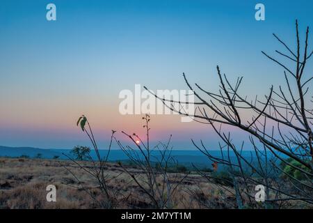 Ein Sonnenuntergang über einem Berg. Die Sonnenstrahlen auf den Gipfeln erzeugen eine Reihe von Farben, von warmen Orangen und Gelbtönen bis hin zu kühlen Purpur und Blau. Stockfoto