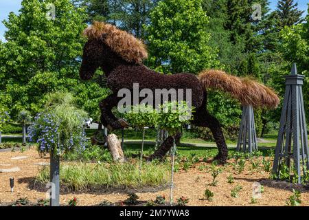 VEGETAL SKULPTUR VON EINEM galoppierenden Pferd, MOSAICULTURE, Botanischer Garten, EDMUNDSTON, NEW BRUNSWICK, KANADA, NORDAMERIKA Stockfoto