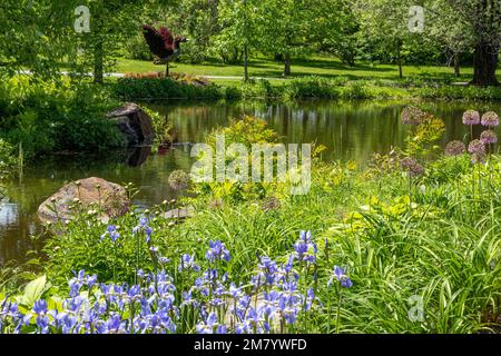 Botanischer Garten, EDMUNDSTON, NEW BRUNSWICK, KANADA, NORDAMERIKA Stockfoto