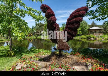 VEGETAL SKULPTUR EINES KANADISCHEN Gänse im Flug, MOSAICULTURE, Botanischer Garten, EDMUNDSTON, NEW BRUNSWICK, KANADA, NORDAMERIKA Stockfoto