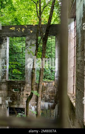 Ruines Carbide Willson, Chelsea, Québec, Kanada Stockfoto