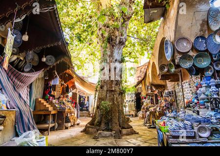 Grüner Innenhof mit Geschäften mit traditionellen marokkanischen Produkten in Fez, Marokko und Nordafrika Stockfoto