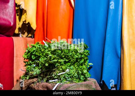 Frische Minzblätter auf dem Markt mit farbenfrohem Leder als Hintergrund, Fez, Marokko, Nordafrika Stockfoto