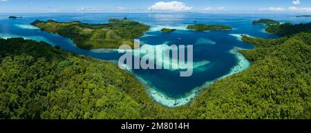 Ausgedehnte Korallenriffe säumen Regenwaldinseln auf den Salomonen. Dieses wunderschöne Land ist die Heimat einer spektakulären marinen Artenvielfalt. Stockfoto