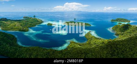 Ausgedehnte Korallenriffe säumen Regenwaldinseln auf den Salomonen. Dieses wunderschöne Land ist die Heimat einer spektakulären marinen Artenvielfalt. Stockfoto