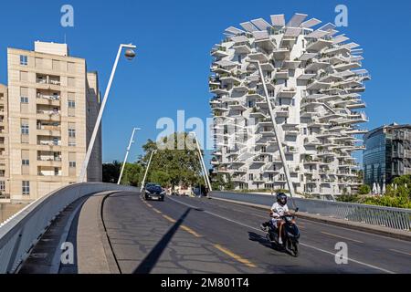 MODERNES GEBÄUDE DAS ARBRE BLANC, DIE ARCHITEKTEN SOO FOUJIMOTO, NICOLAS LAISNE UND MANAL RACHDI, DAS 2019 ZUM SCHÖNSTEN WOHNGEBÄUDE DER WELT GEWÄHLT WURDE, PLACE CHRISTOPHE COLOMB, MONTPELLIER, HERAULT, OCCITANIE, FRANKREICH Stockfoto