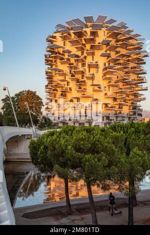 MODERNES GEBÄUDE DAS ARBRE BLANC, DIE ARCHITEKTEN SOO FOUJIMOTO, NICOLAS LAISNE UND MANAL RACHDI, DAS 2019 ZUM SCHÖNSTEN WOHNGEBÄUDE DER WELT GEWÄHLT WURDE, PLACE CHRISTOPHE COLOMB, MONTPELLIER, HERAULT, OCCITANIE, FRANKREICH Stockfoto