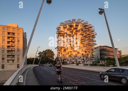 MODERNES GEBÄUDE DAS ARBRE BLANC, DIE ARCHITEKTEN SOO FOUJIMOTO, NICOLAS LAISNE UND MANAL RACHDI, DAS 2019 ZUM SCHÖNSTEN WOHNGEBÄUDE DER WELT GEWÄHLT WURDE, PLACE CHRISTOPHE COLOMB, MONTPELLIER, HERAULT, OCCITANIE, FRANKREICH Stockfoto