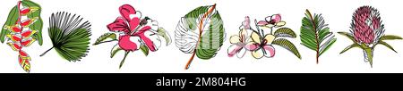 Tropische Sammlung mit exotischen hawaiianischen Blumen und Blättern. Vektor eine Linie isolierte Elemente auf weißem Hintergrund. Bihai Blume, protea, Monstera Stock Vektor