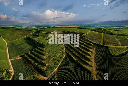 Villany Weinberge. Dies ist eine der berühmten Weinregionen Ungarns. Dieser erstaunliche geoloperative Formationsname ist Teufelsgraben. Ungarischer Name ist Ordoga Stockfoto