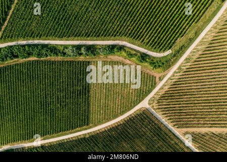 Villany Weinberge. Dies ist eine der berühmten Weinregionen Ungarns. Dieser erstaunliche geoloperative Formationsname ist Teufelsgraben. Ungarischer Name ist Ordoga Stockfoto